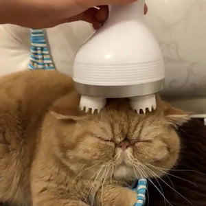 Electric Pet Massager